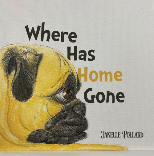 Cover of Where Has Home Gone