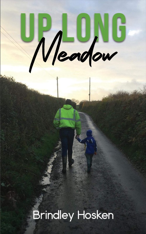 Cover of Up Long Meadow